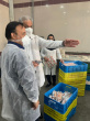 رئیس دانشگاه جامع علمی کاربردی استان فارس از خط تولید مجتمع صنعتی پروتئینی شام شام و محیط کار دانشجویان مرکز آموزش علمی کاربردی شام شام بازدید کرد