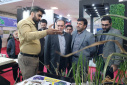 دانشگاه جامع علمی کاربردی استان خوزستان در رفع مشکل اشتغال جوانان استان نقش مهمی داشته است