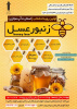 اولین رویداد (استارتاپی) شتاب زنبور عسل در دانشگاه جامع علمی کاربردی استان خراسان شمالی برگزار شد