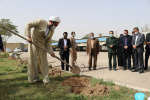 غرس تعدادی اصله درخت در دانشگاه جامع علمی کاربردی استان خوزستان