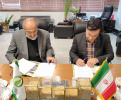 امضای تفاهم ‪نامه همکاری دانشگاه جامع علمی کاربردی مازندران و دانشگاه علوم کشاورزی و منابع طبیعی ساری